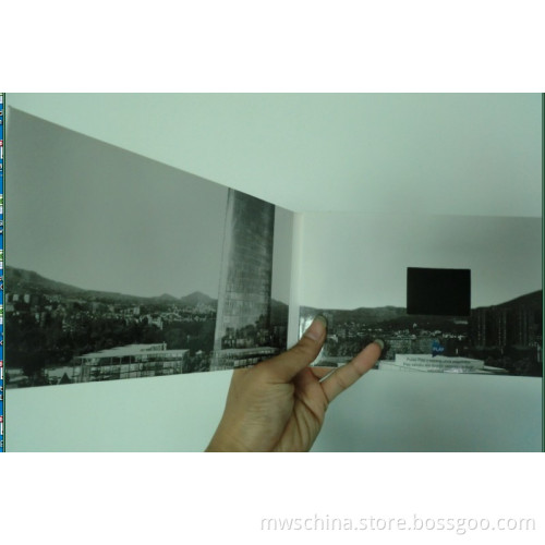 Video Card